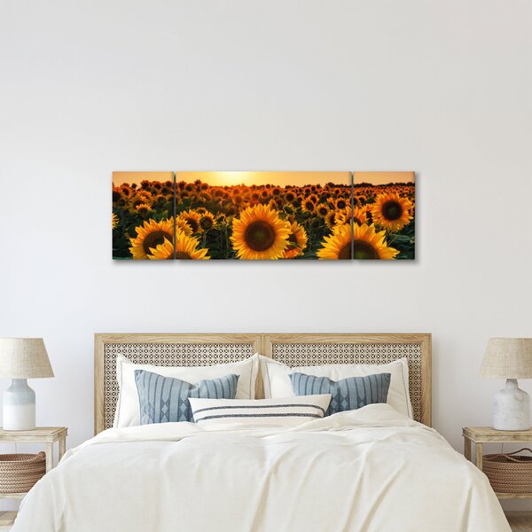 Obraz - Slunečnice (170x50 cm)