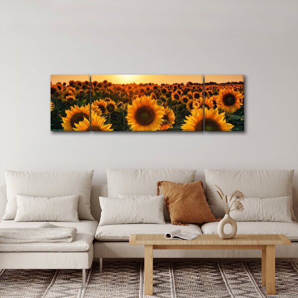 Obraz - Slunečnice (170x50 cm)