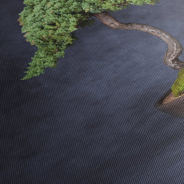 Obraz - Bonsai (210x100 cm)