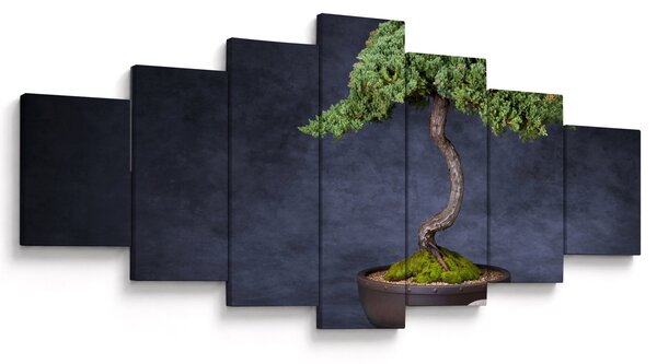 Obraz - Bonsai (210x100 cm)