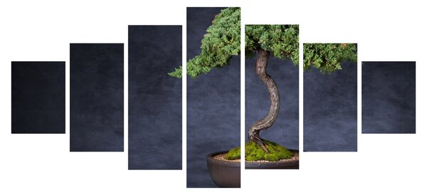 Obraz - Bonsai (210x100 cm)