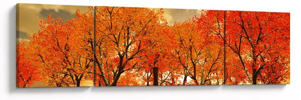 Obraz - Podzim (170x50 cm)
