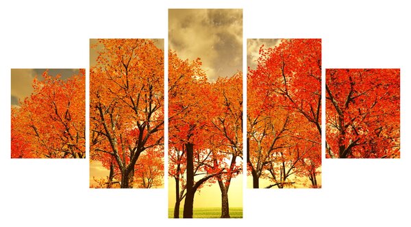 Obraz - Podzim (125x70 cm)