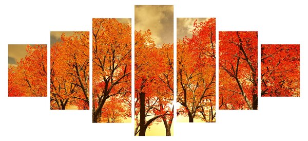 Obraz - Podzim (210x100 cm)