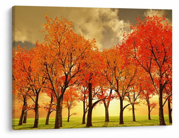 Obraz - Podzim (70x50 cm)
