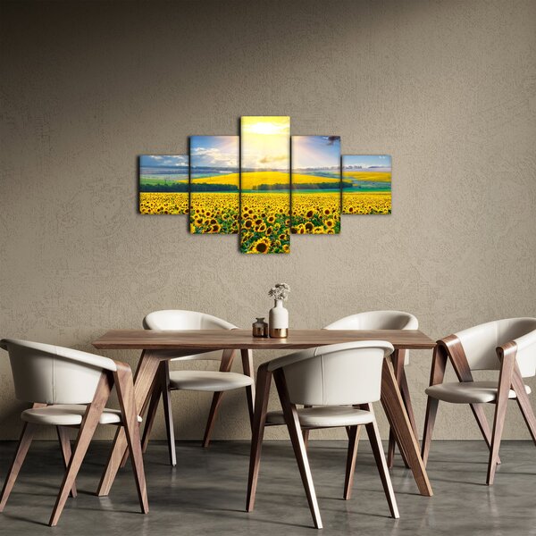 Obraz - Pole Slunečnic (125x70 cm)