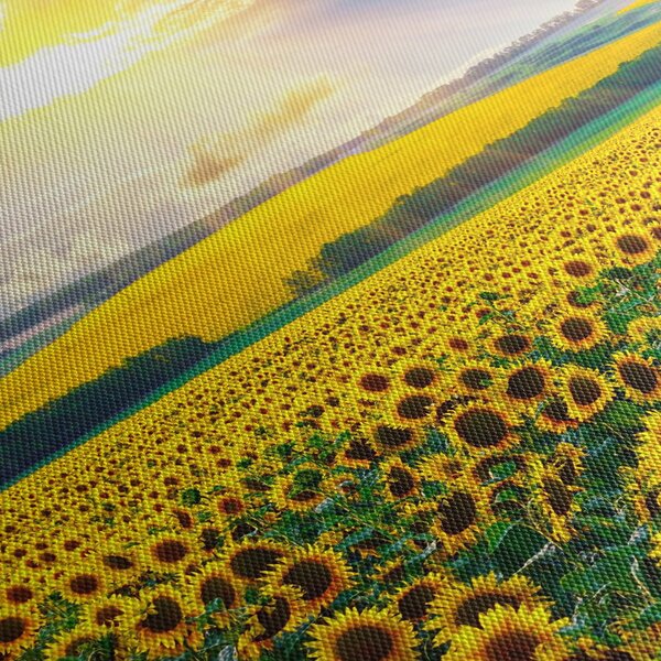 Obraz - Pole Slunečnic (125x70 cm)