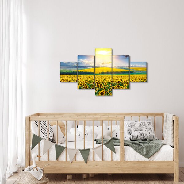 Obraz - Pole Slunečnic (125x70 cm)