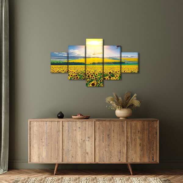 Obraz - Pole Slunečnic (125x70 cm)