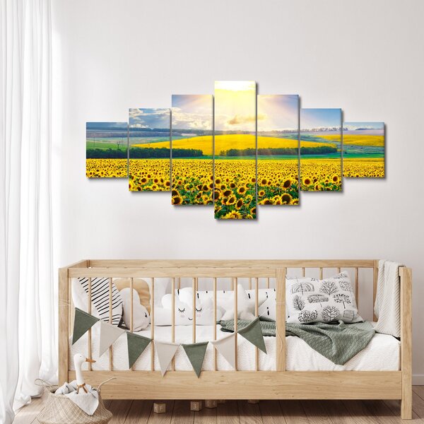 Obraz - Pole Slunečnic (210x100 cm)