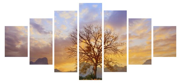 Obraz - Krajina se Slunečnicemi (210x100 cm)