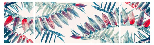 Obraz - Tropické listy (170x50 cm)
