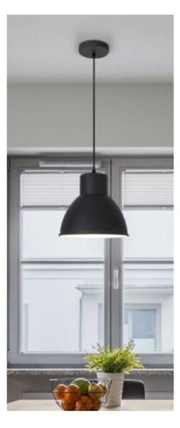 RABALUX 2578 Derek závěsné svítidlo E27 1x60W antracitová