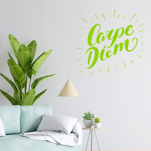 Živá Zeď Samolepka Carpe Diem (Užívej dne) Barva: černá