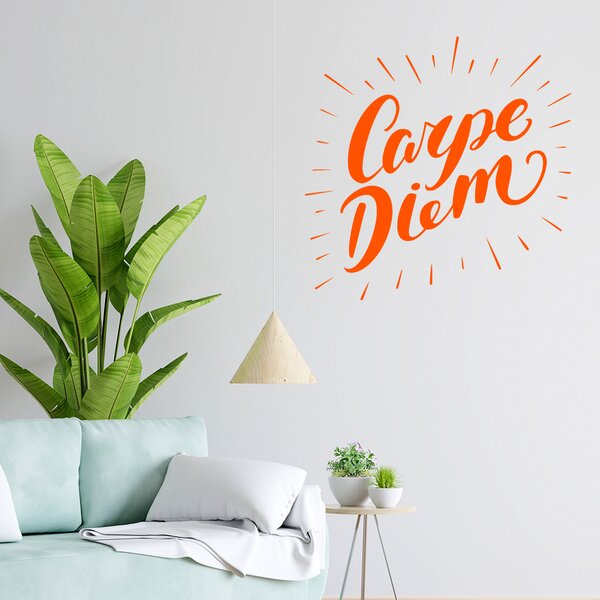 Živá Zeď Samolepka Carpe Diem (Užívej dne) Barva: černá