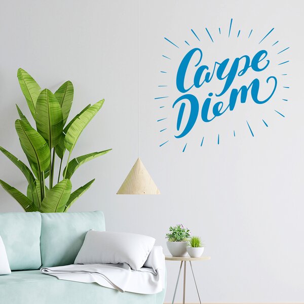 Živá Zeď Samolepka Carpe Diem (Užívej dne) Barva: černá