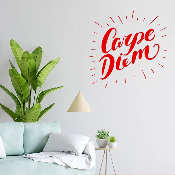 Živá Zeď Samolepka Carpe Diem (Užívej dne) Barva: černá