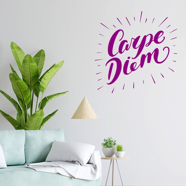 Živá Zeď Samolepka Carpe Diem (Užívej dne) Barva: černá