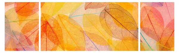 Obraz - Pozadí z podzimního listí (170x50 cm)