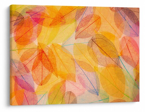 Obraz - Pozadí z podzimního listí (70x50 cm)