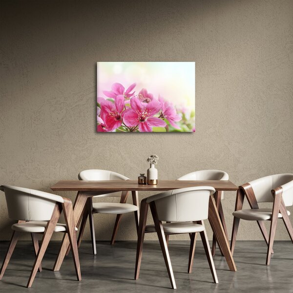 Obraz - Růžové květy (70x50 cm)