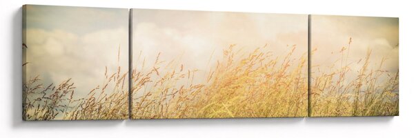 Obraz - Pole na podzim (170x50 cm)