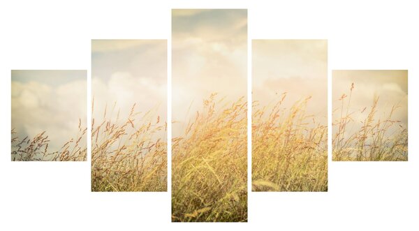 Obraz - Pole na podzim (125x70 cm)