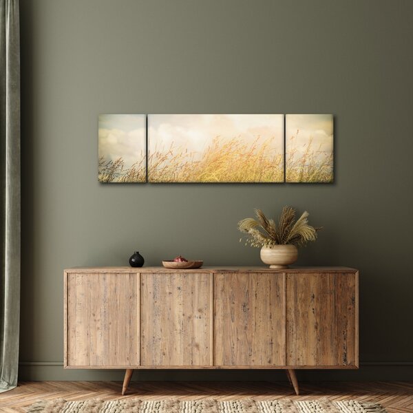 Obraz - Pole na podzim (170x50 cm)