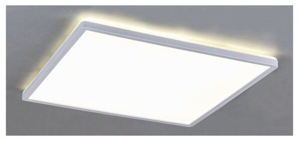 Rabalux 3429 Pavel stropní LED svítidlo 293mm 18W / 1700lm 4000K IP20 bílá