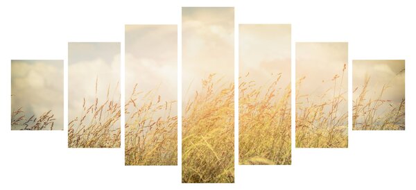 Obraz - Pole na podzim (210x100 cm)