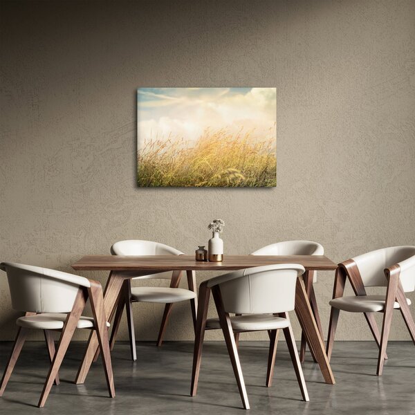 Obraz - Pole na podzim (70x50 cm)