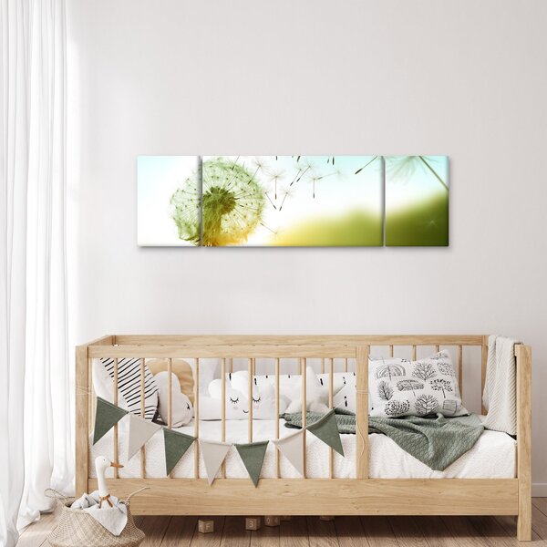 Obraz - Pampeliška ve větru (170x50 cm)