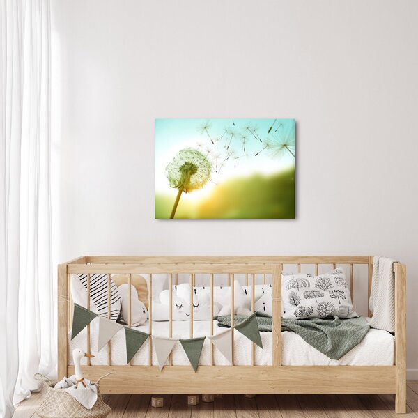 Obraz - Pampeliška ve větru (70x50 cm)