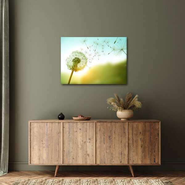 Obraz - Pampeliška ve větru (70x50 cm)