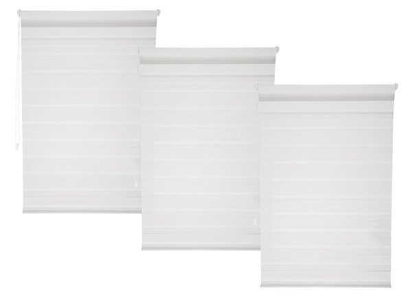 LIVARNO home Sada dvojitých okenních rolet, 60 x 150 cm, 3dílná (800004391)
