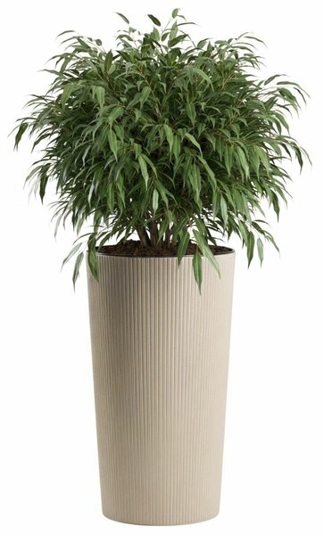 PLASTOVÝ KVĚTINÁČ URBANIKA ECO 57X29,5 CM LATTE