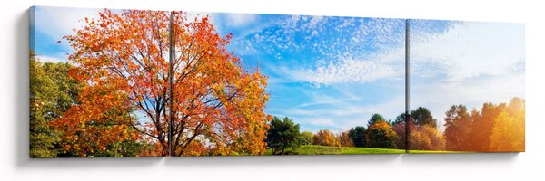 Obraz - Podzimní krajina (170x50 cm)