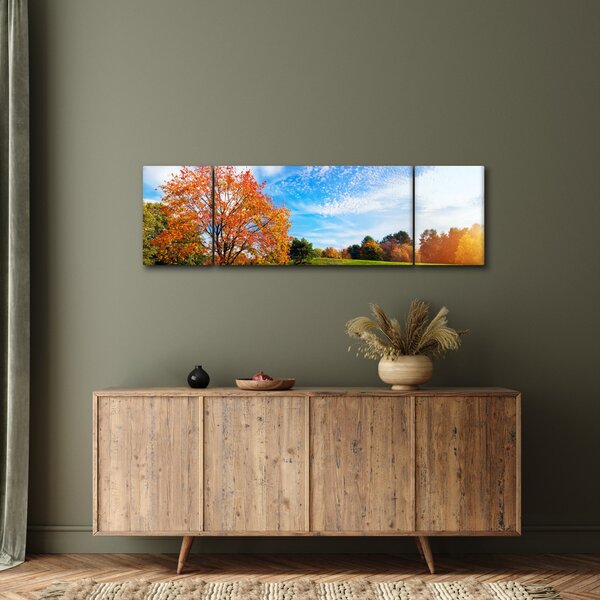 Obraz - Podzimní krajina (170x50 cm)