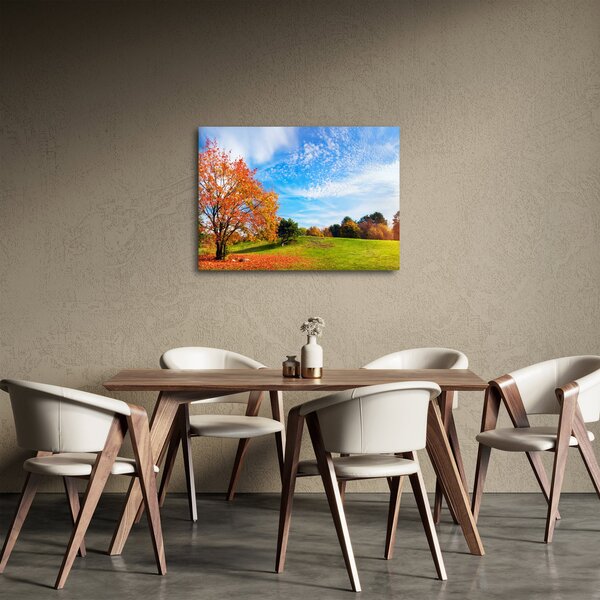 Obraz - Podzimní krajina (70x50 cm)