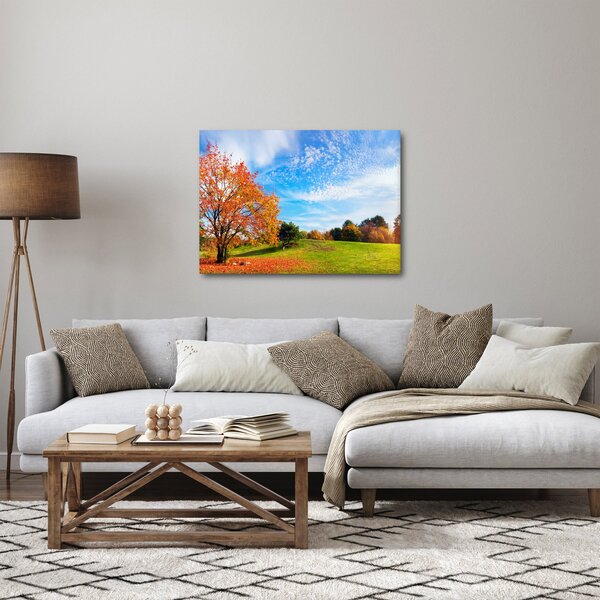Obraz - Podzimní krajina (70x50 cm)