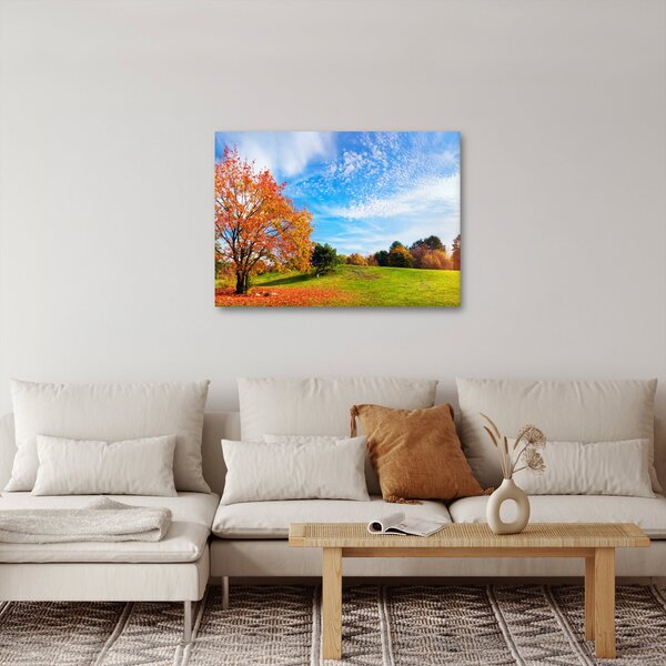 Obraz - Podzimní krajina (70x50 cm)