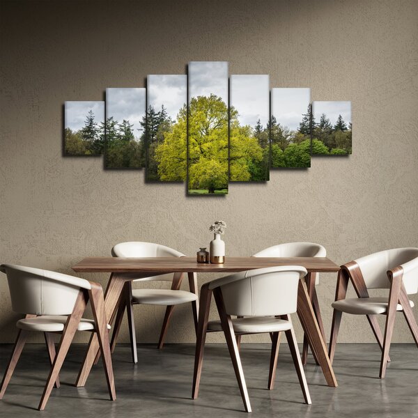 Obraz zeleného stromu uprostřed pole (210x100 cm)