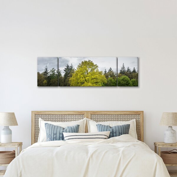 Obraz zeleného stromu uprostřed pole (170x50 cm)