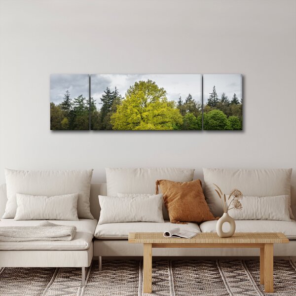 Obraz zeleného stromu uprostřed pole (170x50 cm)