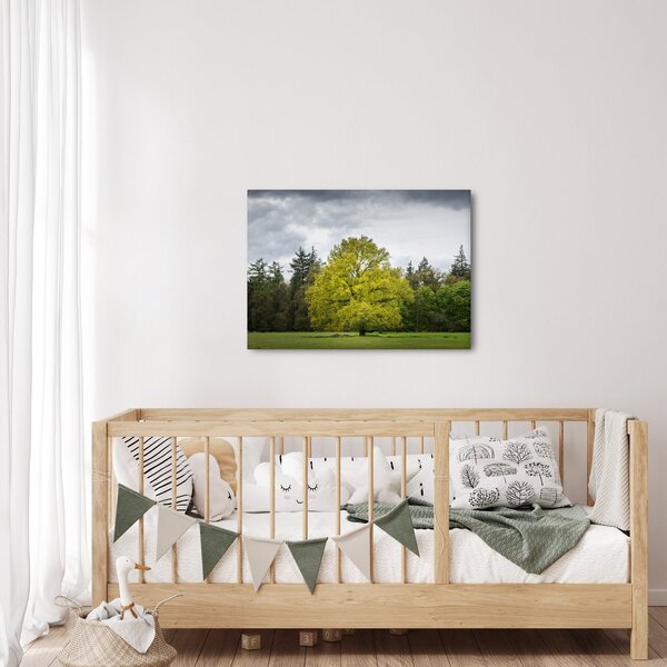 Obraz zeleného stromu uprostřed pole (70x50 cm)