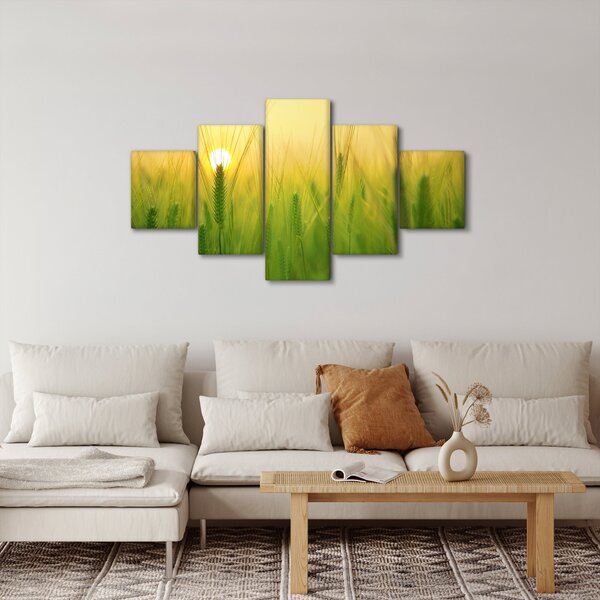 Obraz pole s obilím (125x70 cm)