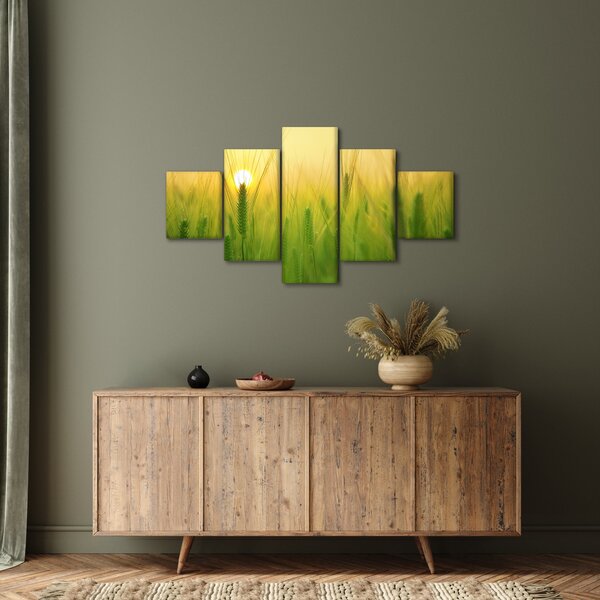 Obraz pole s obilím (125x70 cm)