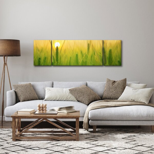 Obraz pole s obilím (170x50 cm)