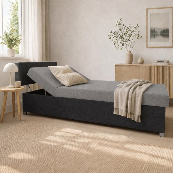 Polohovací válenda s úložným prostorem 110x200 ORNOVA - světle šedá / černá