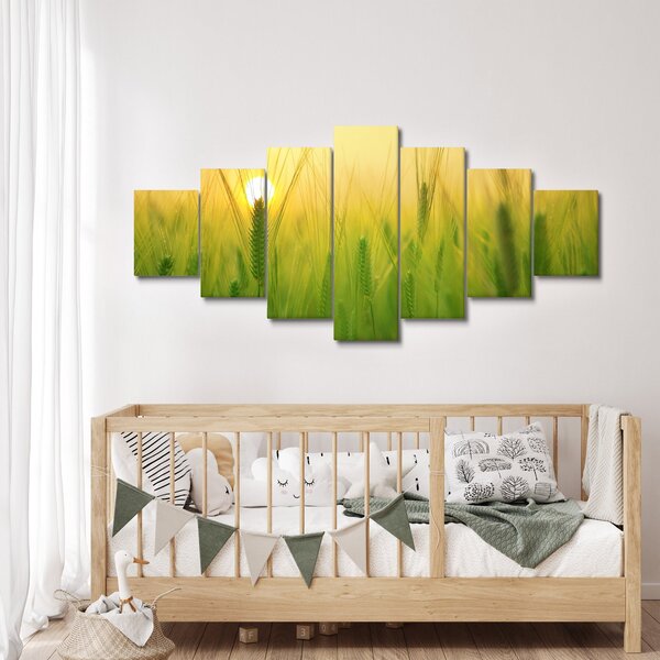 Obraz pole s obilím (210x100 cm)
